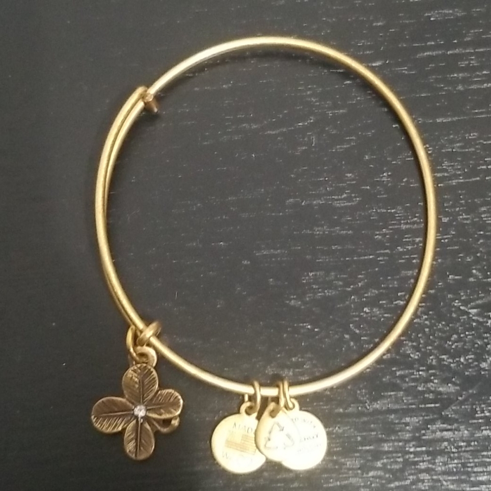 Alex and Ani bracelet